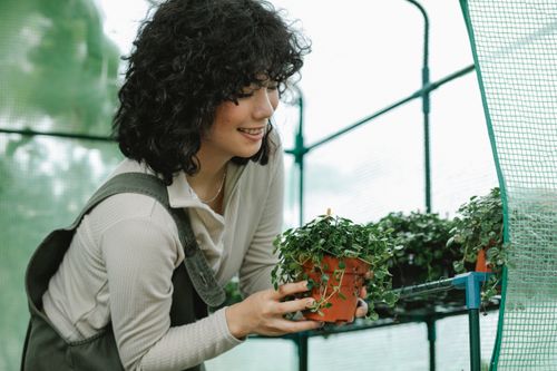 Free Low angle of positive ethnic woman with potted green plant working in glasshouse Stock Photo