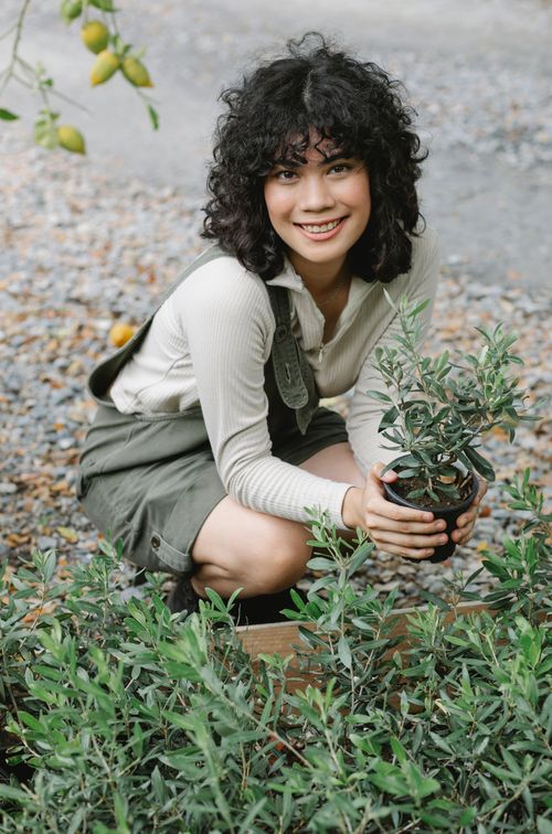Free High angle of positive ethnic woman with curly hair smiling widely while working in orchard Stock Photo