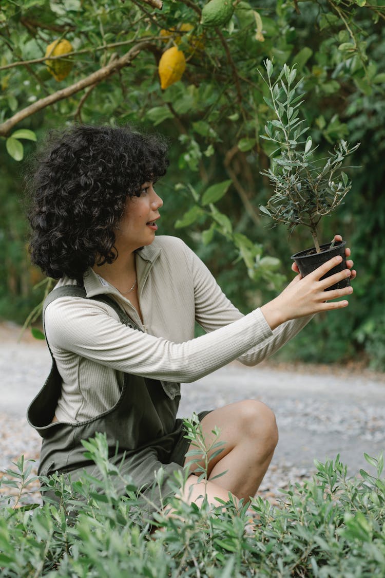 Woman Checking Potted Plant In Garden