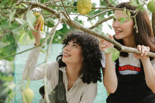 Donna In Camicia Bianca A Maniche Lunghe Che Tiene Frutta Verde