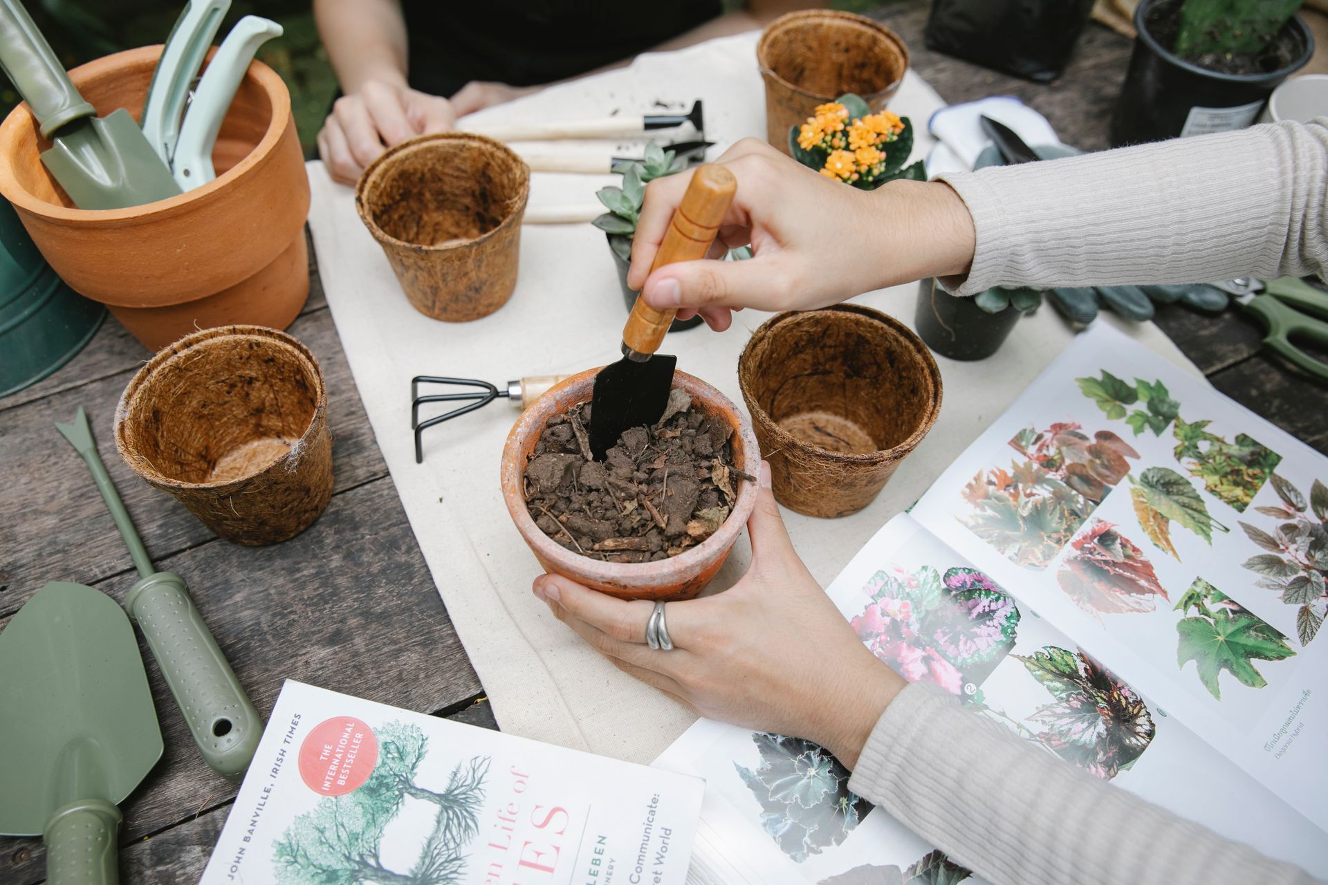 From above of crop anonymous gardener with shovel preparing soil for seedling at table with opened book with illustrations