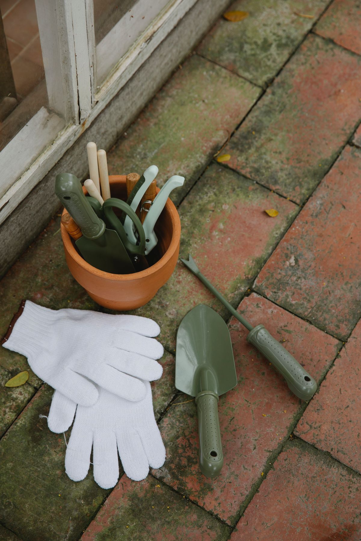 Hand gardening tools and gloves ready for garden work