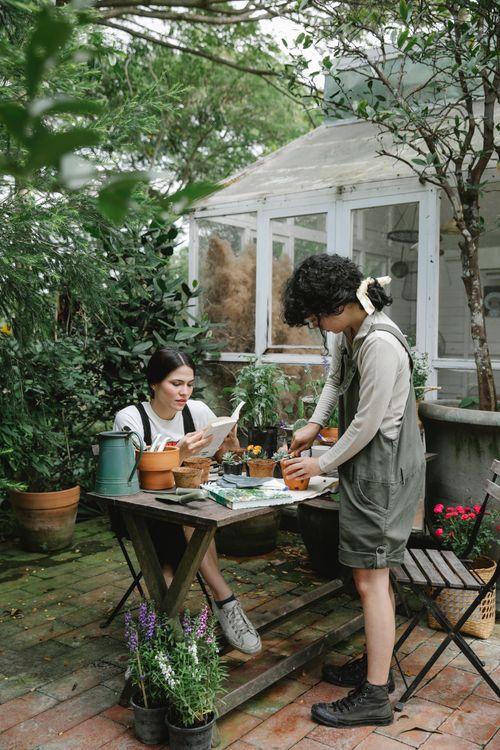 Free Full body of female workers cultivating sprouts in pots and reading gardening book at wooden table in backyard Stock Photo