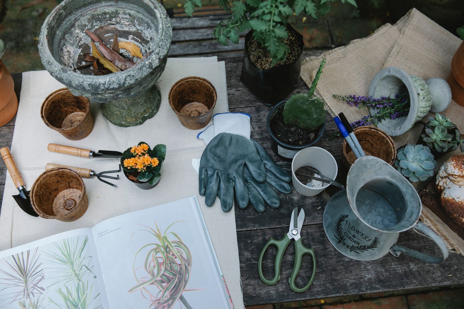 Ferramentas pequenas, luvas, recipientes e livro distribuídos numa mesa de jardinagem.