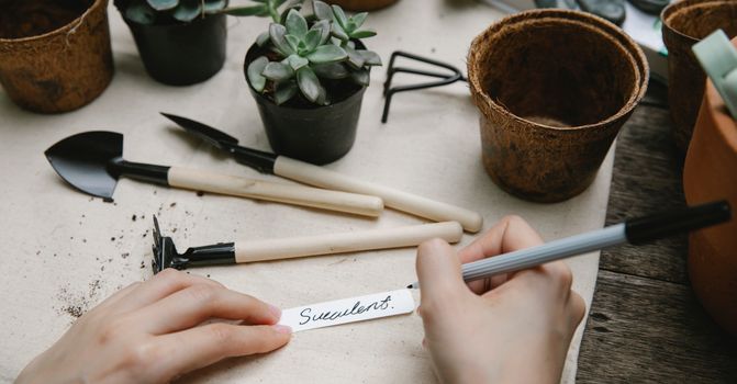 Gardener preparing tag for potted plant