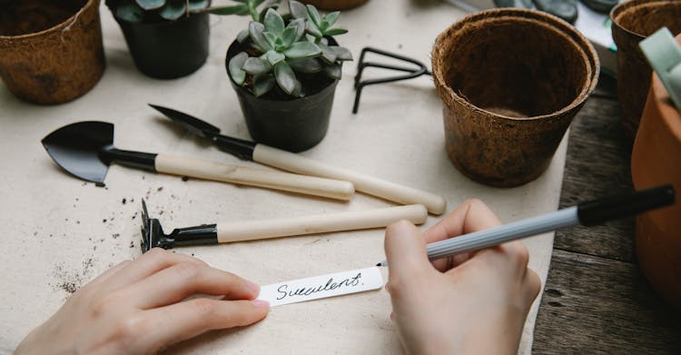 Gardener Preparing Tag For Potted Plant