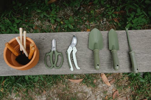 Free Top view of row of scissors secateurs shovels and tools for loosening soil near pot with instruments on wooden bench in garden Stock Photo