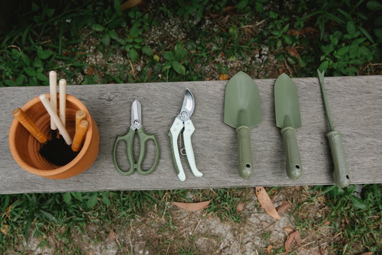 Gardening Tools On Wooden Bench In Yard