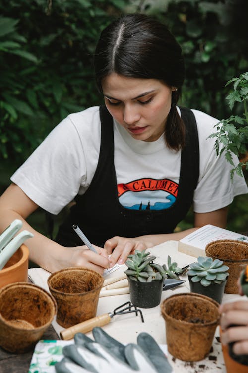 Homem Com Camiseta Branca Com Gola Redonda Segurando Uma Planta Verde