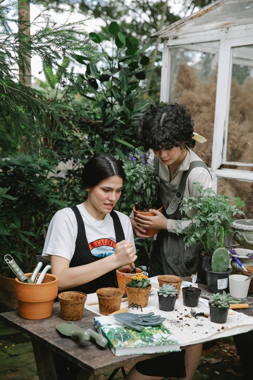 Free Woman sitting at table and preparing soil for planting succulent in peat pots with colleague standing nearby Stock Photo