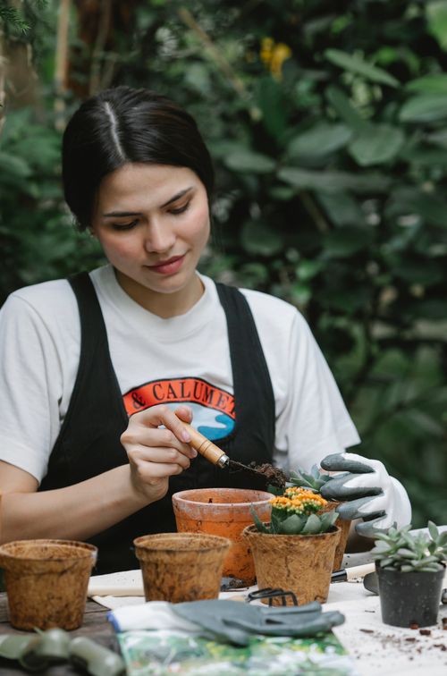 Free Woman with gardening instrument planting blooming succulent flower sitting at table in backyard Stock Photo