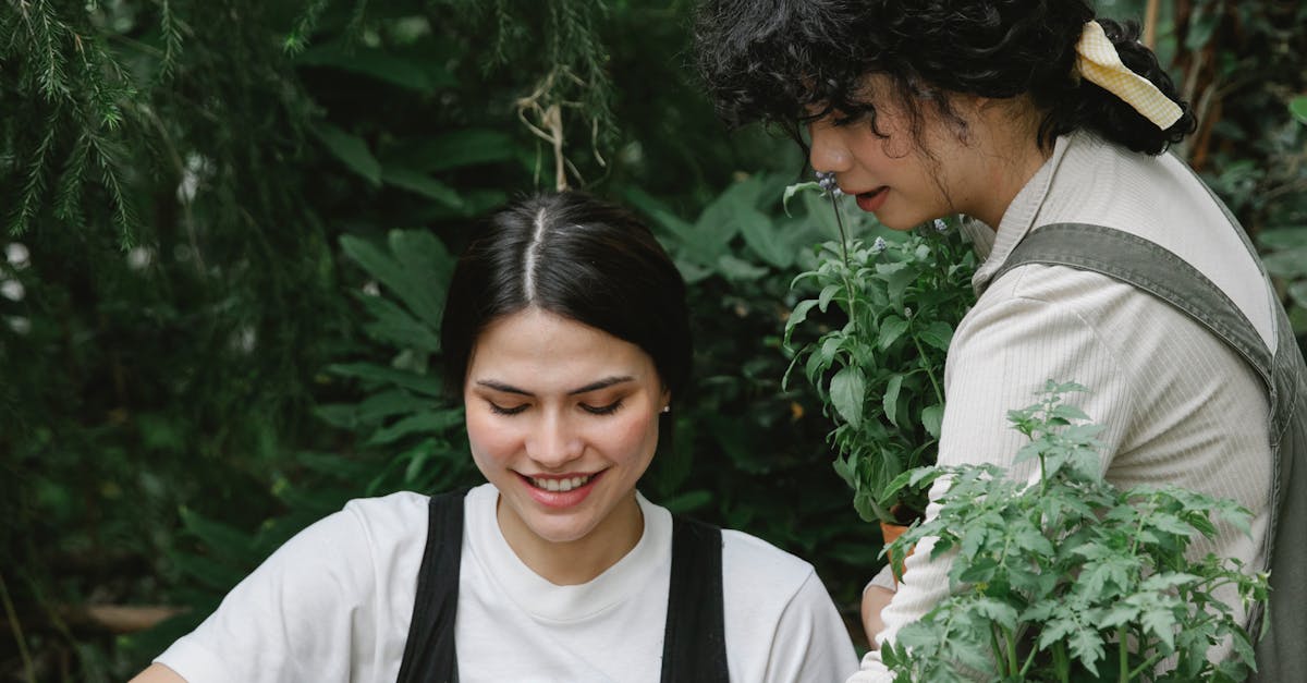 Two women gardening and planting succulents in an outdoor setting, showcasing teamwork and passion for nature.