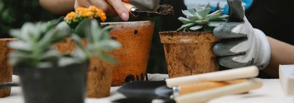 How to compost at home