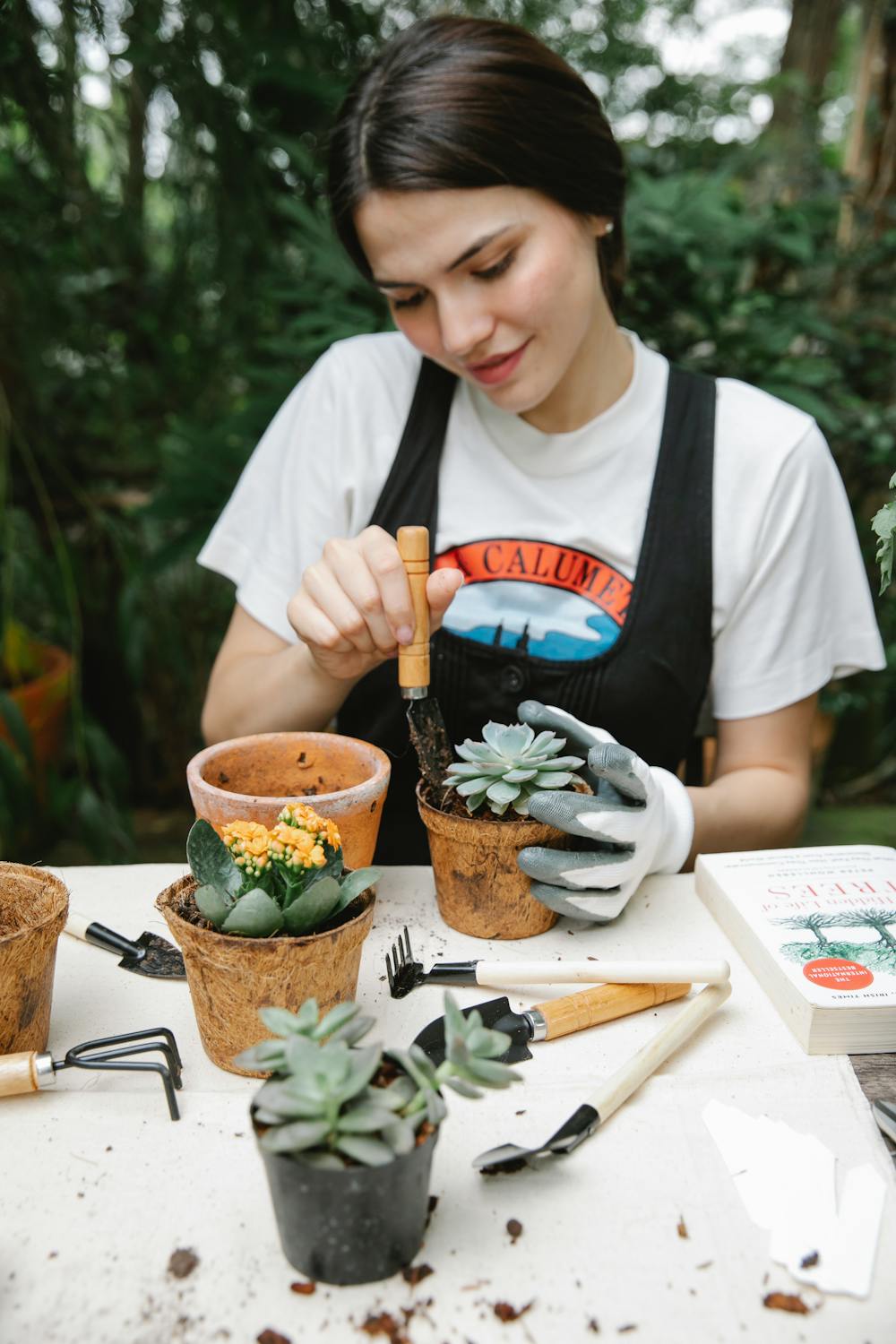 Persona trabajando en optimización SEO