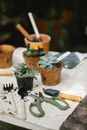 Gardening tools placed near potted succulents in garden