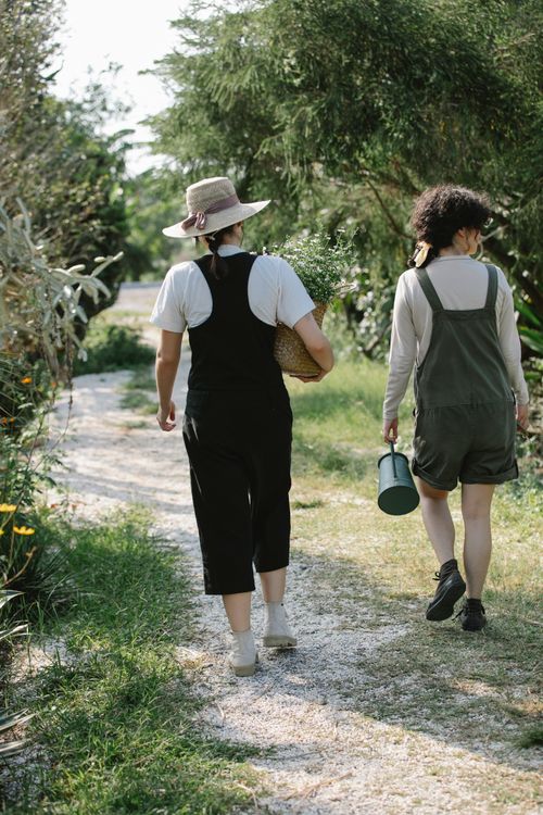 Free Back view full body of anonymous female gardeners carrying wicker basket of flowers and watering can in farm Stock Photo