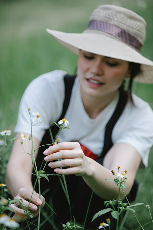 Female in straw hat picking blooming flowers of chamomiles growing in meadow in rural area