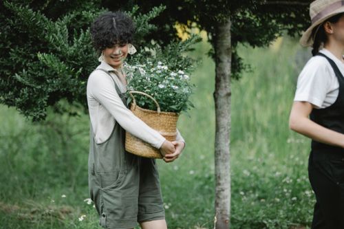 Free Side view of smiling gardener carrying heavy basket of chamomiles while walking with assistant past tree in rural terrain Stock Photo