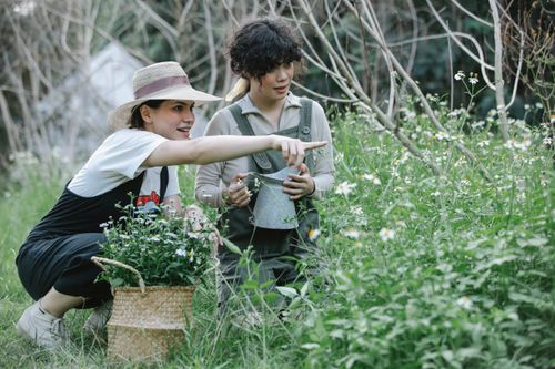 Free Attentive female gardener sitting near basket of flowers and pointing away with forefinger during work in garden with colleague Stock Photo