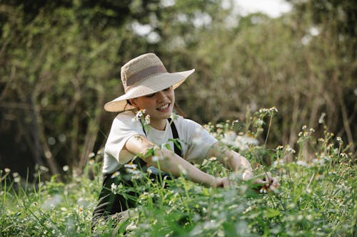 Gratis stockfoto met arbeider, aroma, baan