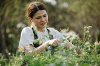 Focused woman with scissors cutting sprigs of flowers