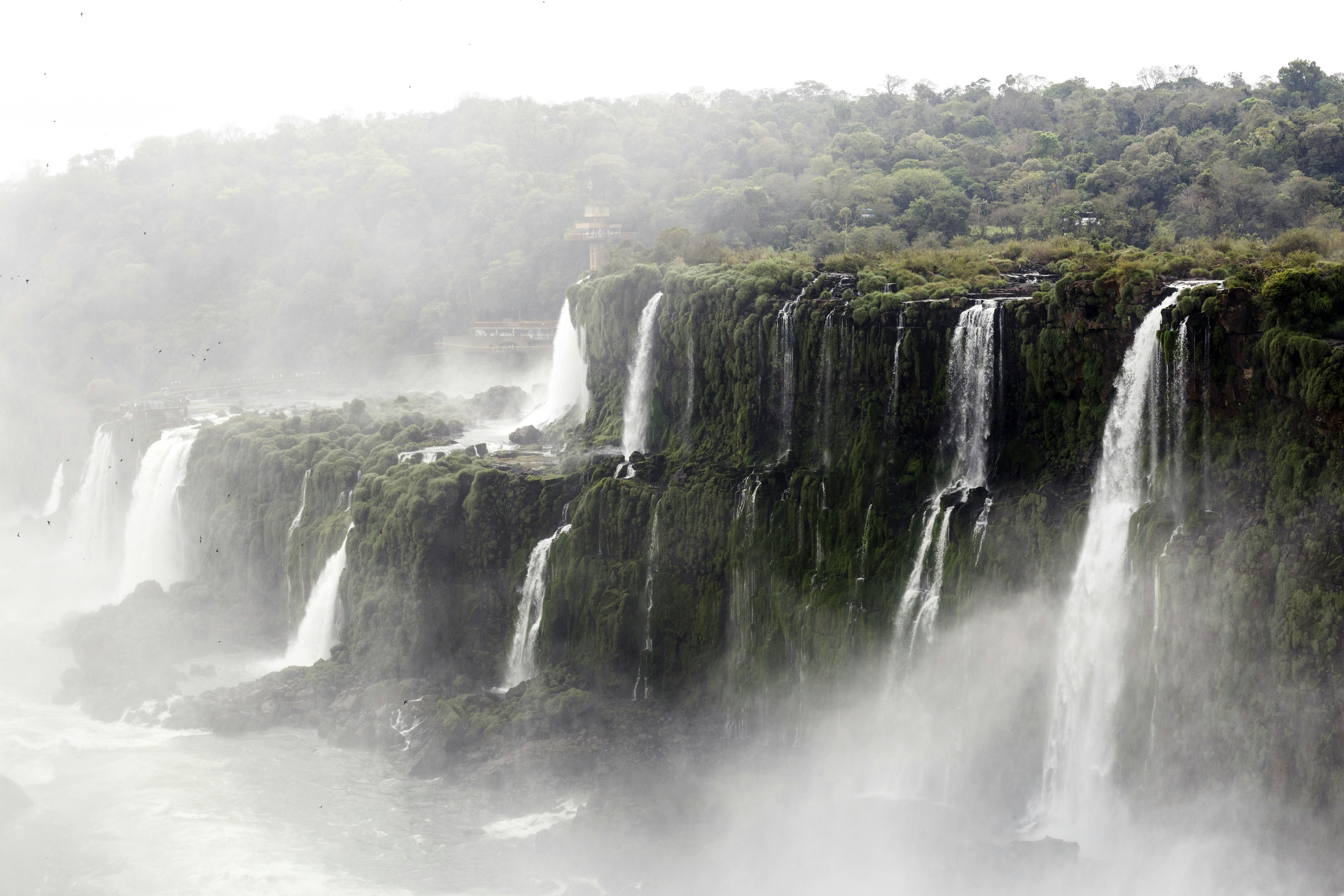 郁郁葱葱的绿色植物中，阿根廷伊瓜苏瀑布倾泻而下的景色壮丽