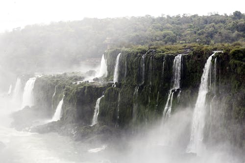 Безкоштовне стокове фото на тему «вода, водоспади, дерева» стокове фото