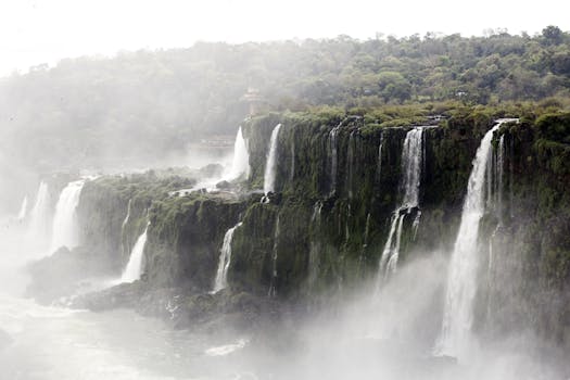 郁郁葱葱的绿色植物中，阿根廷伊瓜苏瀑布倾泻而下的景色壮丽