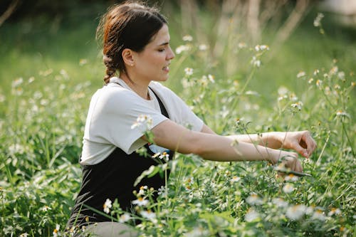 Free Side view of serious young woman in t shirt and overall collecting daisies on grassy meadow in sunny summer day in nature Stock Photo