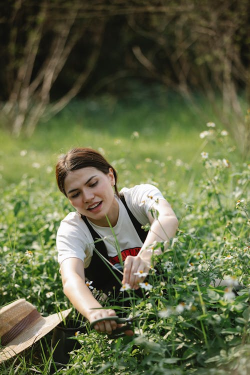 Young female gardener in t shirt and overall near straw hat collecting chamomiles on grassy field in sunny summer day in nature