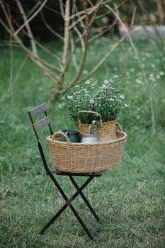 Chair with wicker basket and bouquet of chamomiles near pots in nature on grassy meadow near tree and flowers in summer day with the Quote "The only way to prove that you're a good sport is to lose." written on it and have average color value #5F6B53