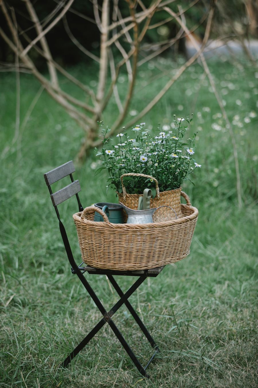 Panier de fleurs et arrosoir posés sur une pelouse de jardin