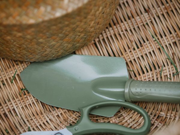 Gardener using AI assistant on mobile phone for garden guidance