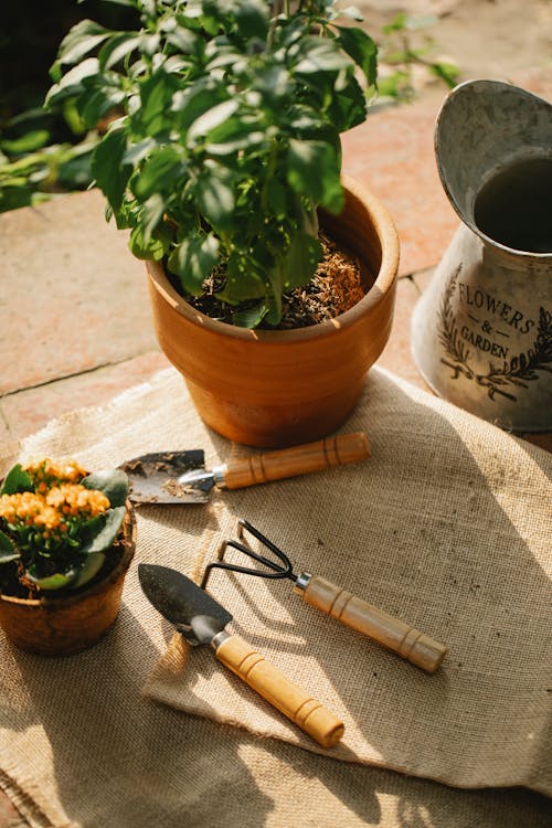 Pots with plants near garden equipment on baggy textile