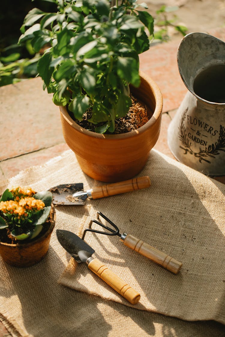 Pots With Plants Near Garden Equipment On Baggy Textile