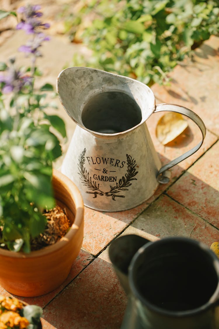 Pots And Plant On Porch In Daylight