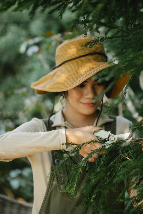Smiling young female gardener in straw hat and overall cutting fir branch with gardening scissors in nature in woods in summer day