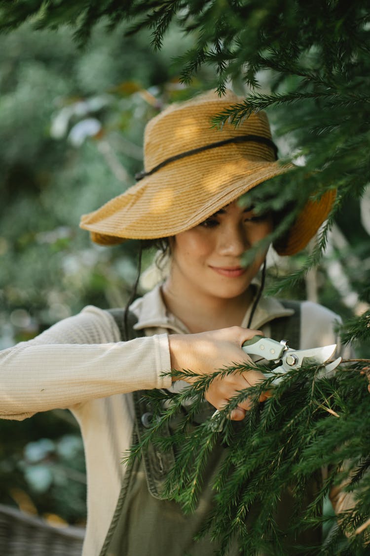 Lady Cutting Tree Branch With Secateurs In Forest