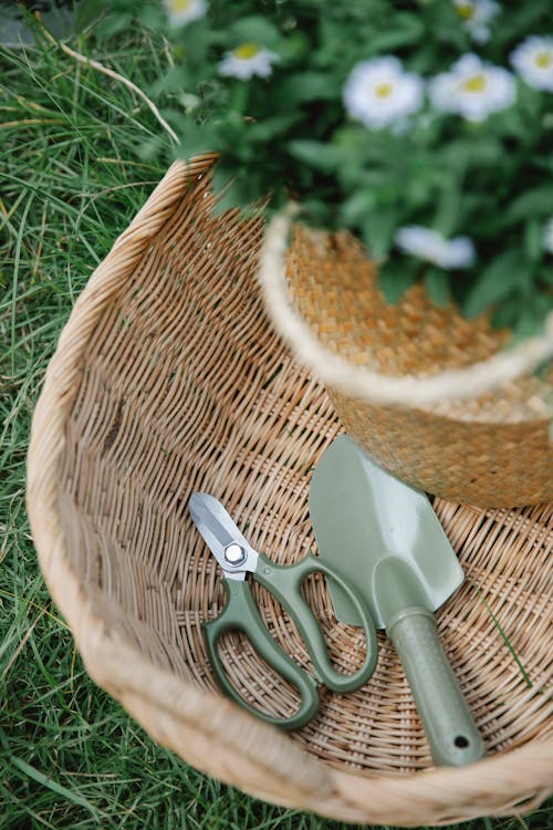 From above of wicker baskets with bouquet of chamomiles and garden scissors with small shovel on green grassy meadow in summer day in countryside