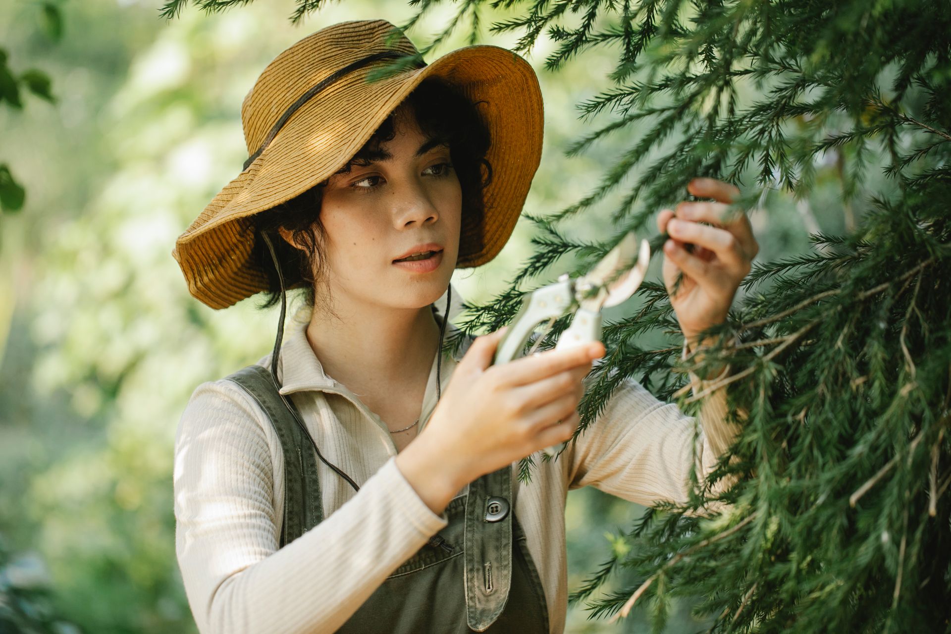 A young woman wearing a straw hat focuses on pruning evergreen branches in a sunny garden.
