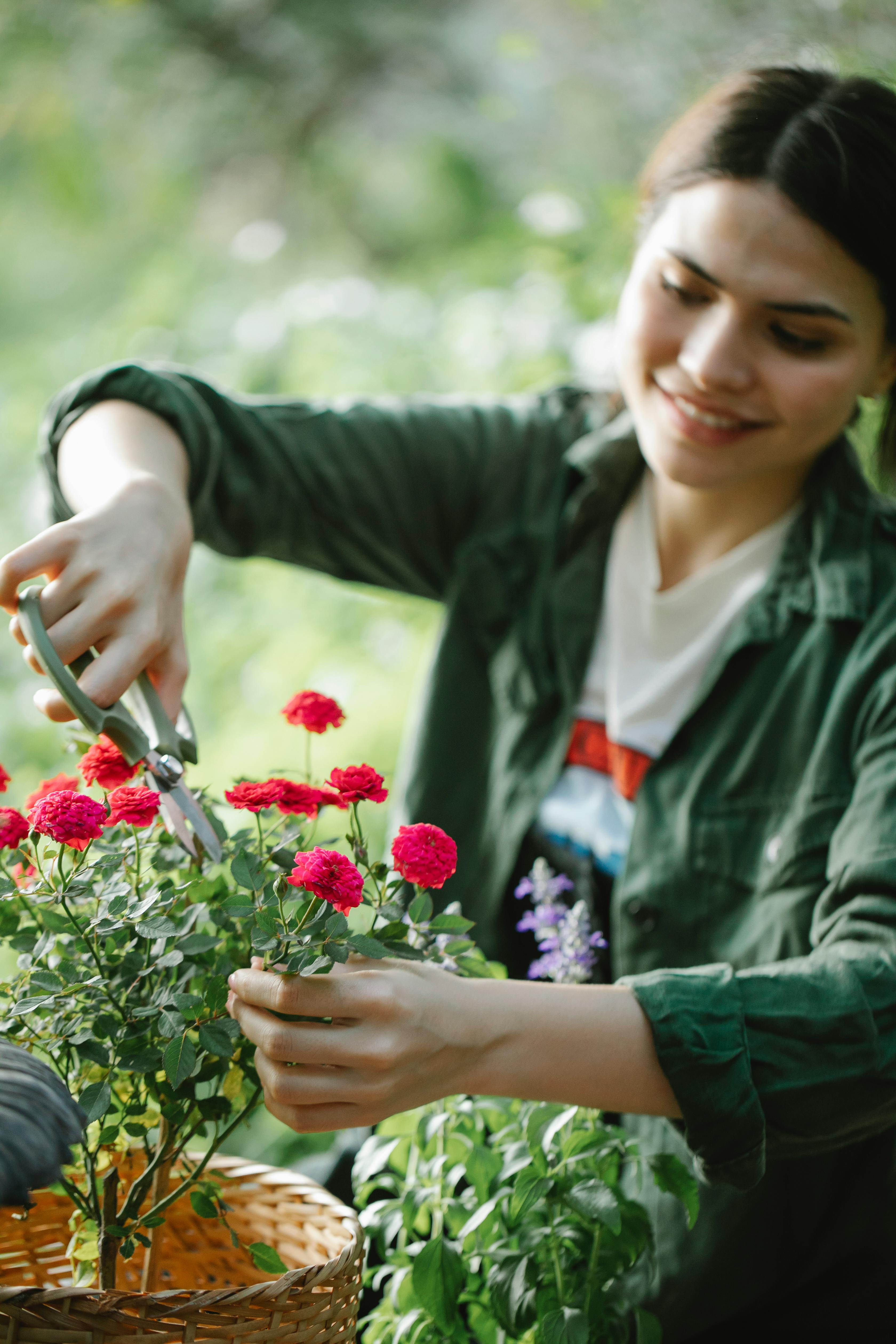 Smiling woman shaping blooming roses in garden · Free Stock Photo