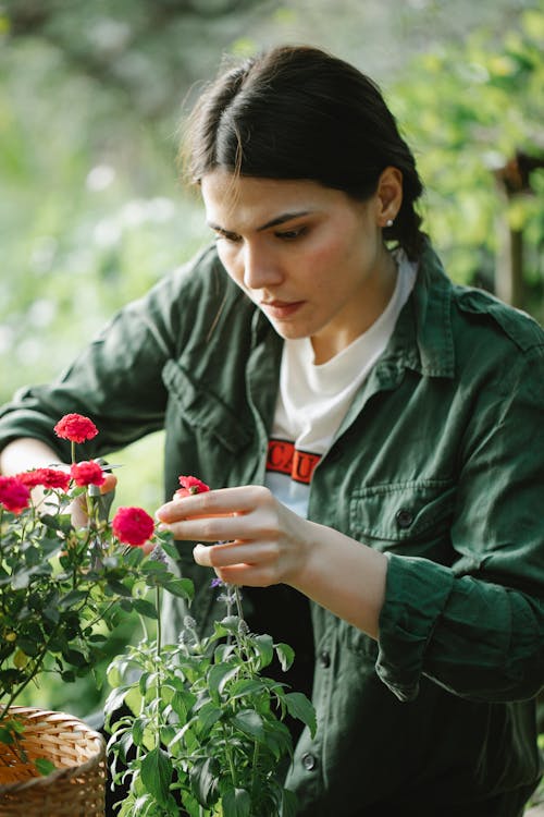 Mulher De Jaqueta Verde Segurando Uma Rosa Vermelha