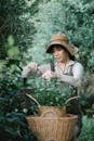 Focused ethnic female gardener with scissors sitting on bench in lush garden and cutting twigs of chamomiles in wicker basket