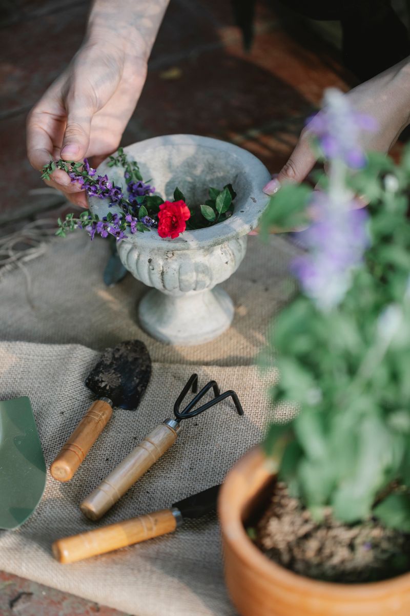 Tools and blooms ready for the family garden beds