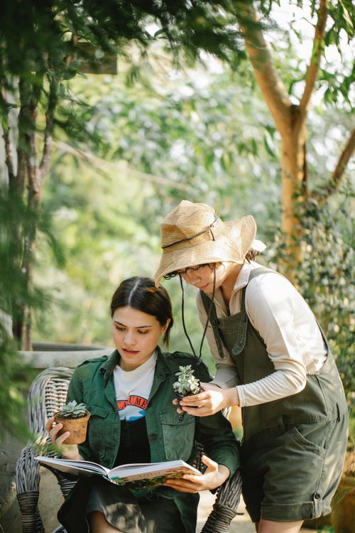 Free Young multiracial female horticulturists reading textbook while holding potted succulent plants against green trees in summer Stock Photo