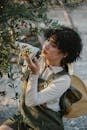 Ethnic gardener touching bundle of olives on plantation
