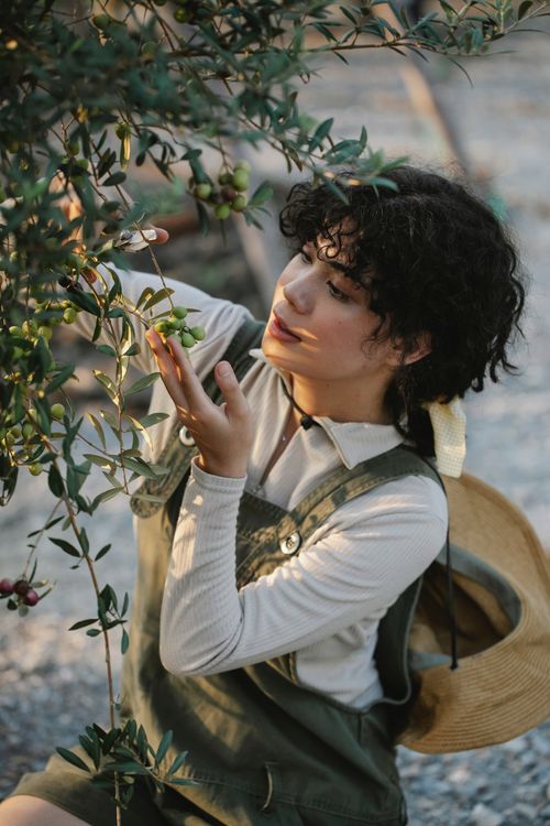 Free Charming ethnic female farmer touching bunch of green olives on tree in countryside on sunny day Stock Photo