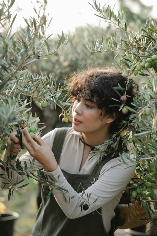 緑の植物を保持している白い長袖シャツの女性