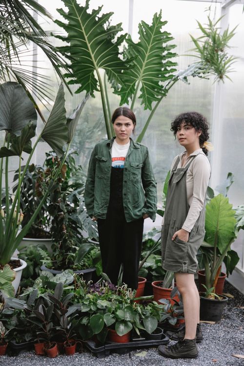 Free Young multiethnic female gardeners with hands in pockets looking at camera in orangery with various exotic plants in pots Stock Photo