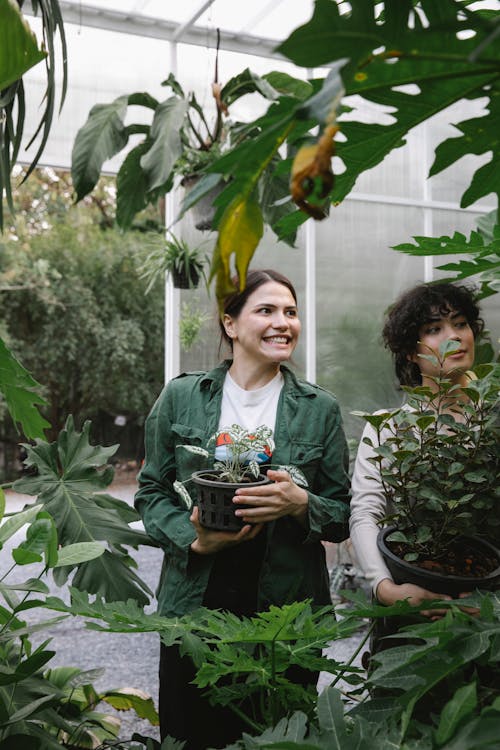 Smiling diverse female gardeners working in greenhouse